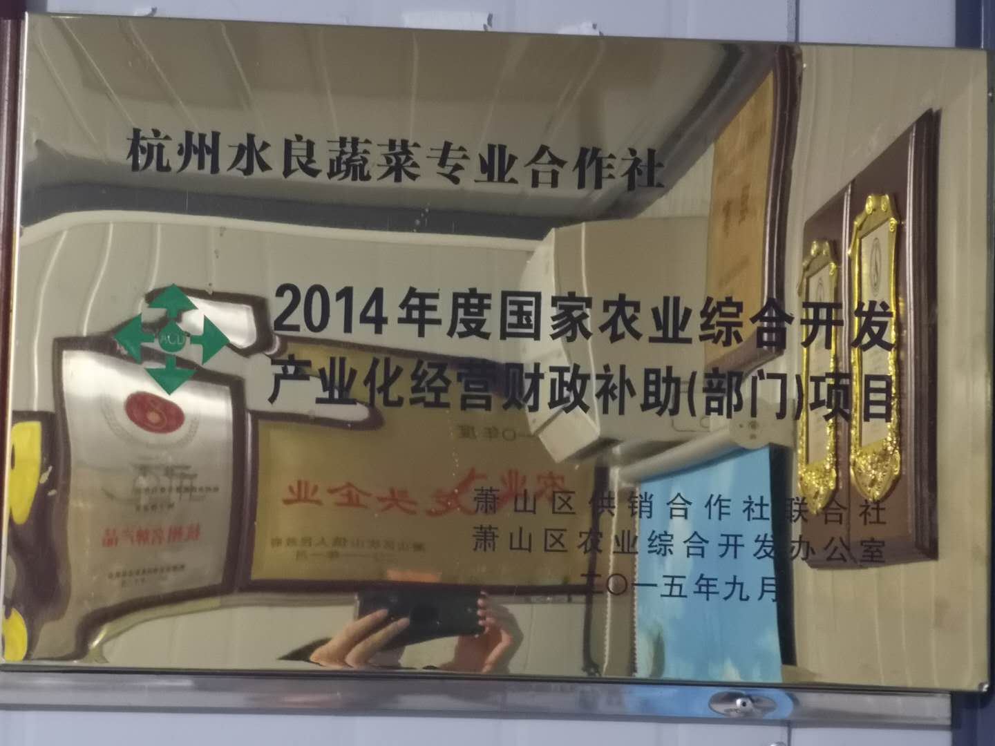 杭州水良蔬菜专业合作社
