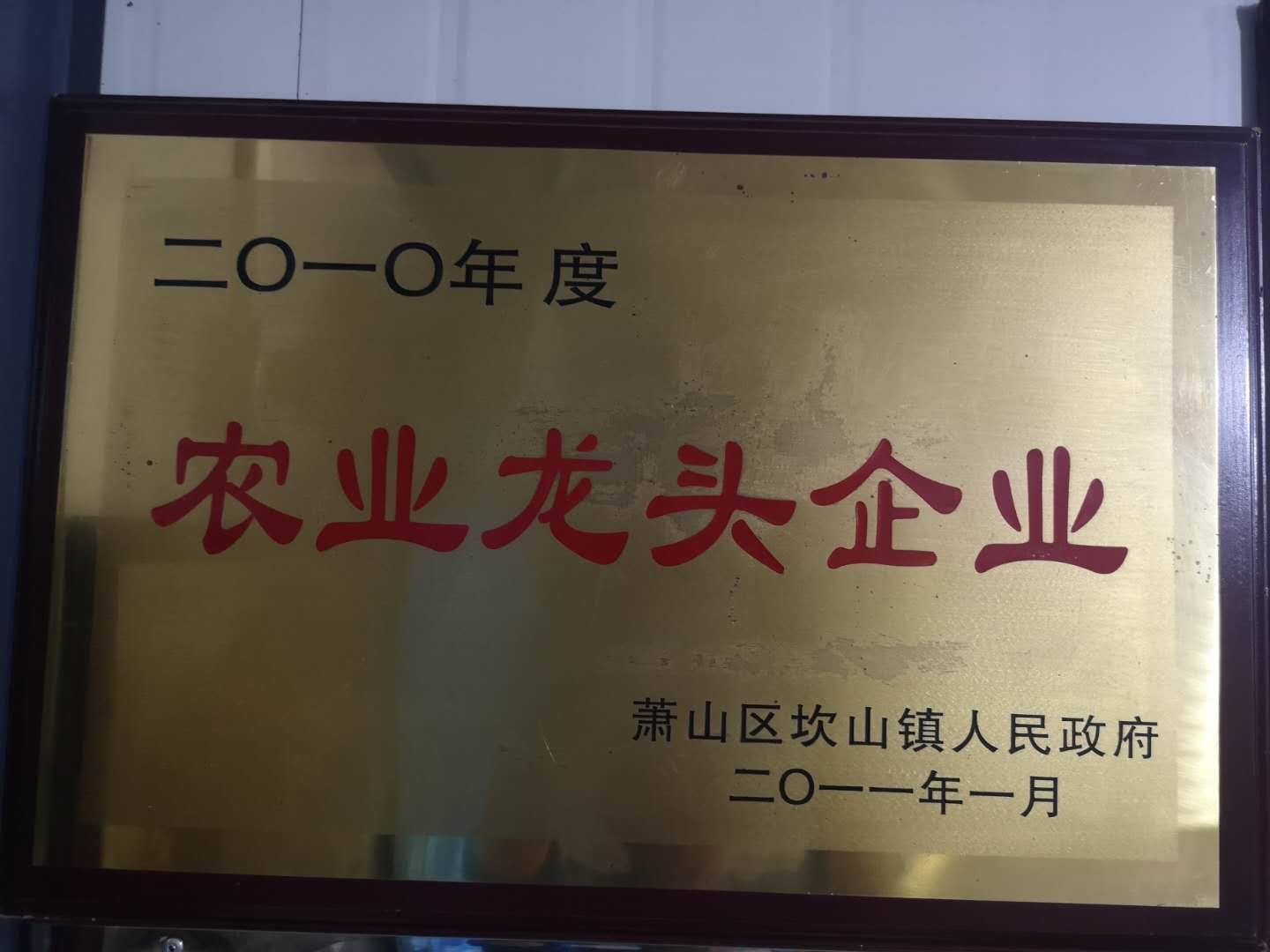  农业龙头企业